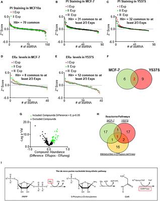 A functional genetic screen for metabolic proteins unveils GART and the de novo purine biosynthetic pathway as novel targets for the treatment of luminal A ERα expressing primary and metastatic invasive ductal carcinoma